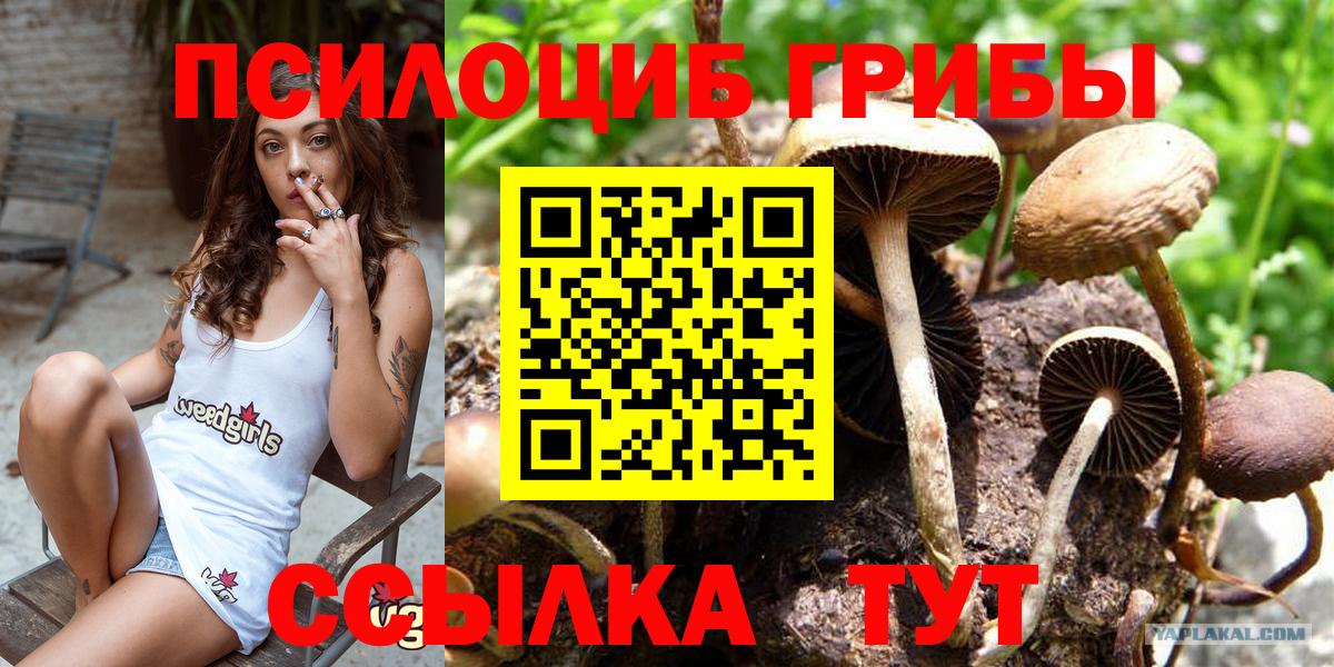 продажа наркотиков  Вход с VPN  Тверь  Галлюциногенные грибы мицелий 