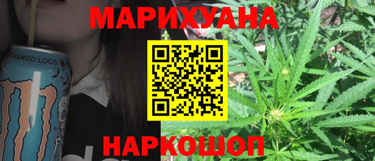 Конопля сатива Тверь